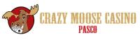 Crazy Moose Casino image 1